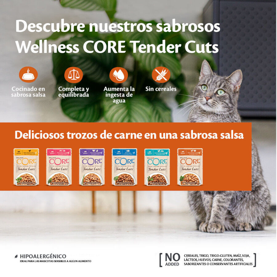 Wellness Core Tender Cuts salmón y atún sobre en salsa para gatos, , large image number null